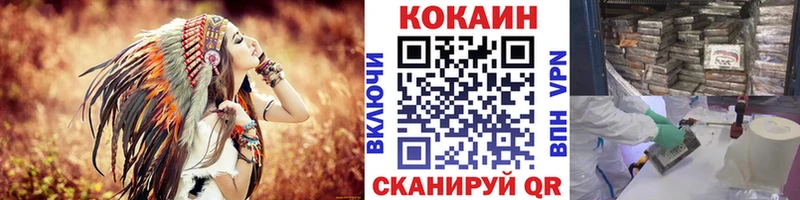 Купить где  Торжок  КОКАИН Fish Scale 