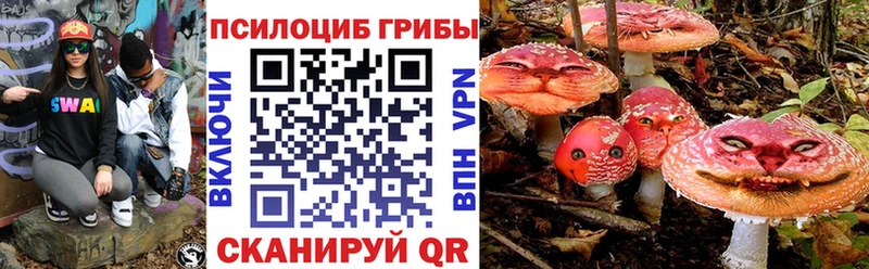 Купить  Торжок  Псилоцибиновые грибы MAGIC MUSHROOMS 